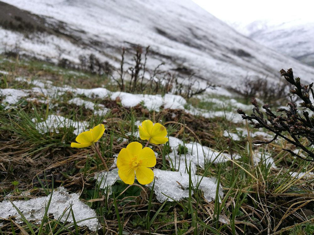 QQ圖片20170531191225 QQ圖片20170531191225