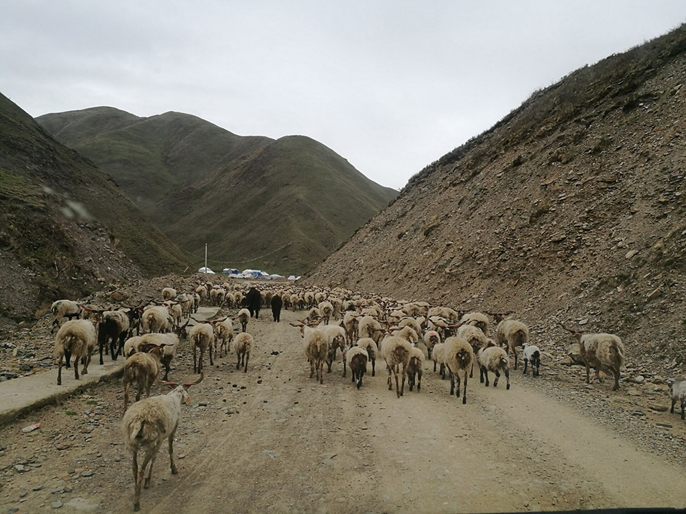 QQ圖片20170531191133 QQ圖片20170531191133