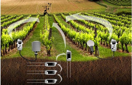 無線喚醒在灌溉系統(tǒng)上的應(yīng)用