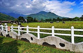 基于NB-IoT窄帶物聯(lián)網(wǎng)的無人管理牧場(chǎng)應(yīng)用方案