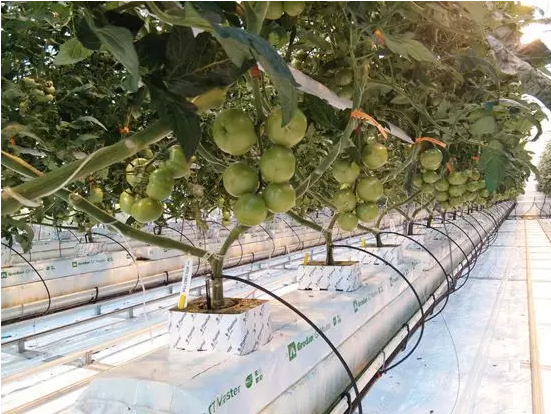 物聯(lián)網在農業(yè)中的應用 QQ截圖20191023101937