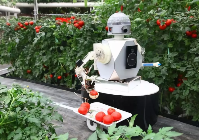 物聯(lián)網(wǎng)在智慧農(nóng)業(yè)的應(yīng)用 QQ截圖20191119161353