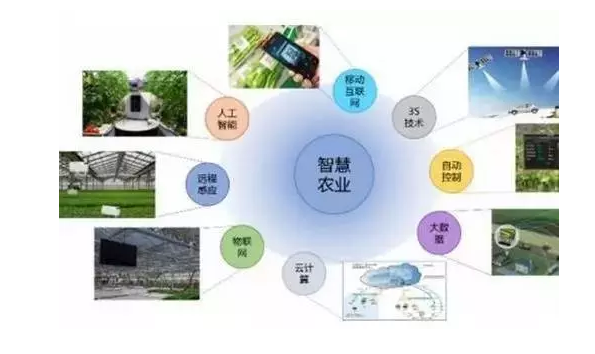 農(nóng)業(yè)物聯(lián)網(wǎng)的發(fā)展 QQ截圖20191106155415
