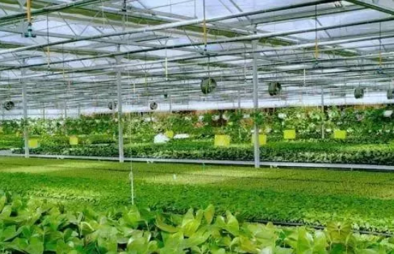 農(nóng)業(yè)物聯(lián)網(wǎng)的發(fā)展 QQ截圖20191106155429