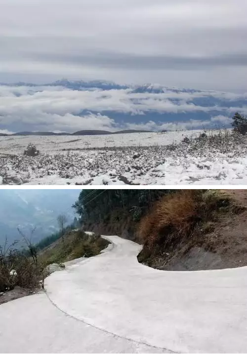 QQ截圖20191108143445 QQ截圖20191108143445