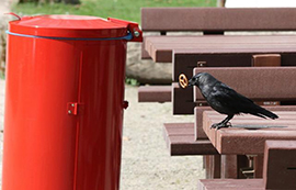 智慧城市物聯(lián)網(wǎng)應(yīng)用的五大案例