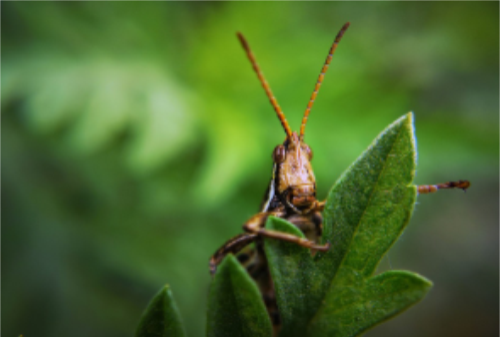 QQ截圖20191203161841 QQ截圖20191203161841