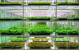 4G DTU設(shè)備在智慧農(nóng)業(yè)的物聯(lián)網(wǎng)應(yīng)用案例