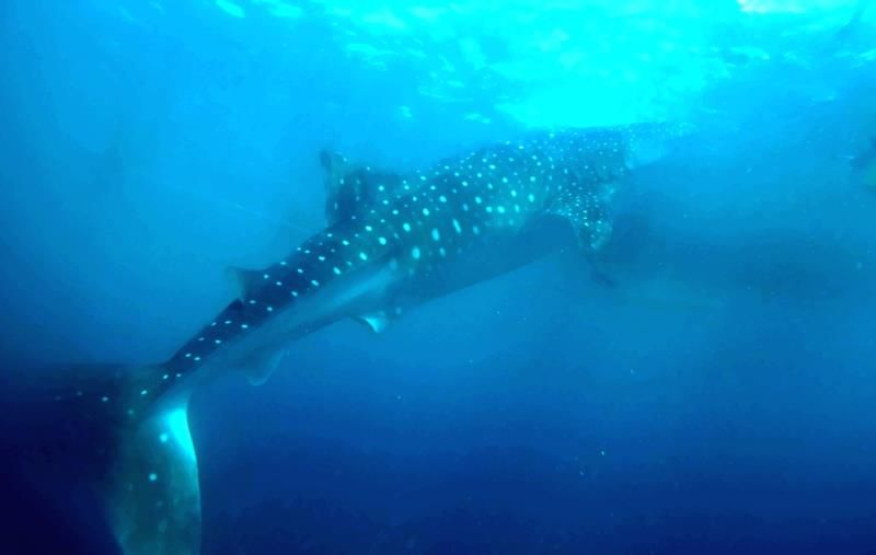 開心生活 快樂工作 | 億佰特2019年優(yōu)秀員工代表跨國之旅