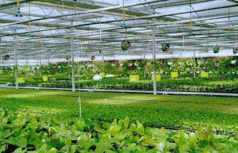 智慧農(nóng)業(yè)案例 智慧農(nóng)業(yè)