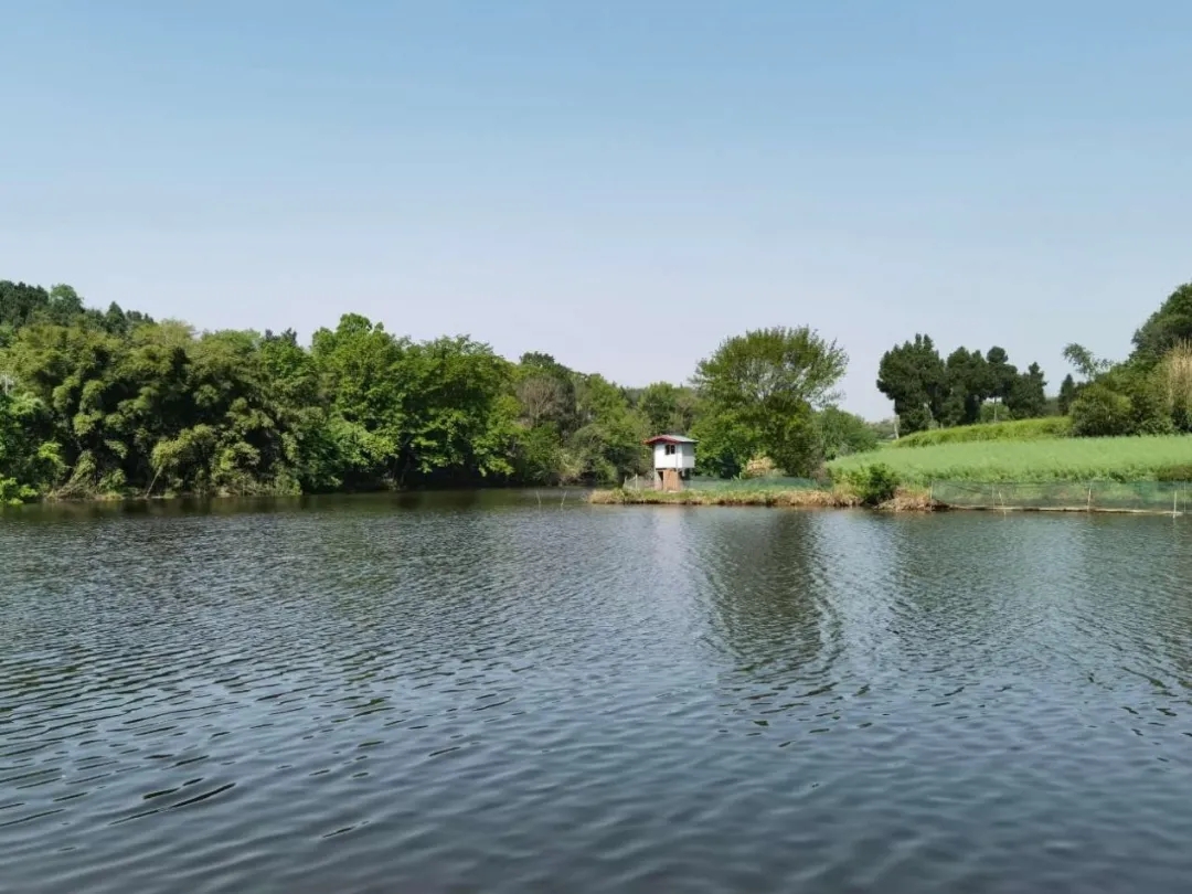 簡陽松林水庫風光