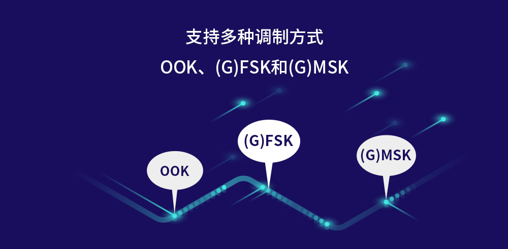 E49無(wú)線射頻模塊_04