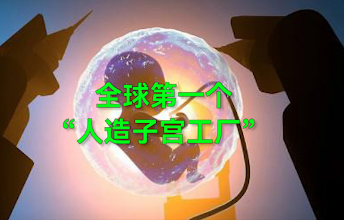【科普視頻】全球第一個(gè)“人造子宮工廠”