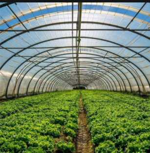 物聯(lián)網(wǎng)智慧農(nóng)場應用 物聯(lián)網(wǎng)智慧農(nóng)場應用