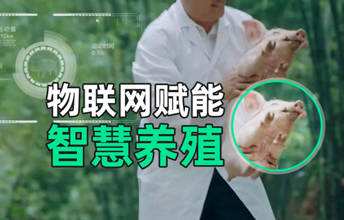 物聯(lián)網(wǎng)無(wú)線(xiàn)通信模塊在智慧養(yǎng)殖領(lǐng)域的應(yīng)用