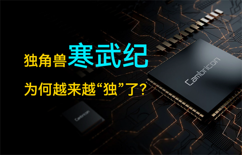 獨角獸寒武紀，越來越“獨”