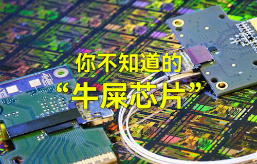 【科普視頻】你不知道的“牛屎芯片”