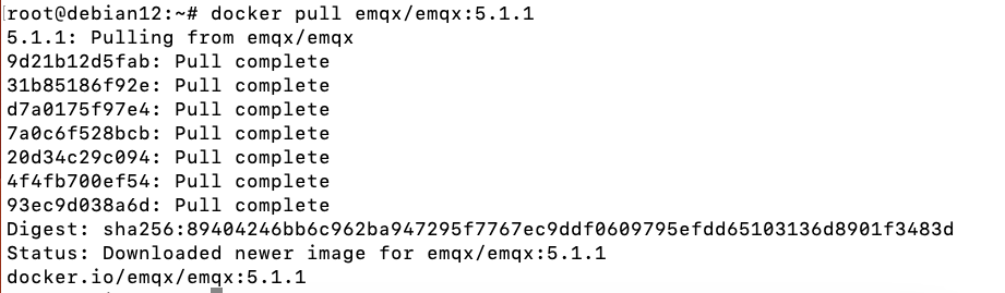 8使用 Docker 指令直接部署 8使用 Docker 指令直接部署