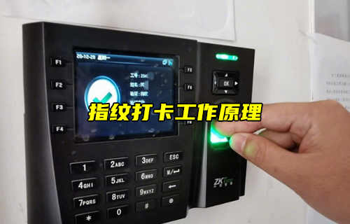 【科普視頻】指紋打卡的工作原理