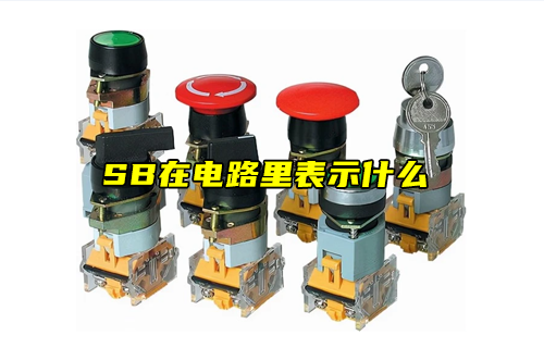 【科普視頻】SB在電路里表示什么？