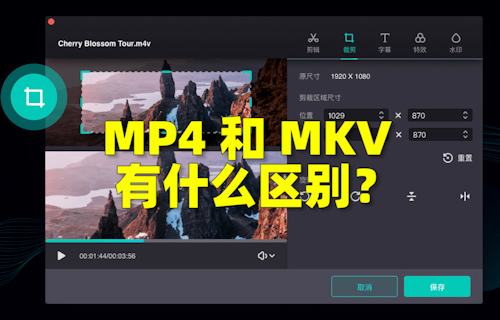 【科普視頻】MP4和MKV有什么區(qū)別？