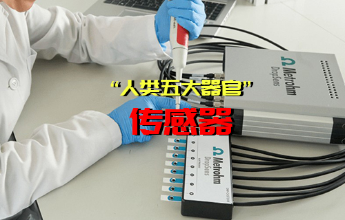 【科普視頻】你知道“人類(lèi)五大感覺(jué)器官”傳感器有哪些嗎？