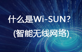 什么是Wi-SUN無線網絡？