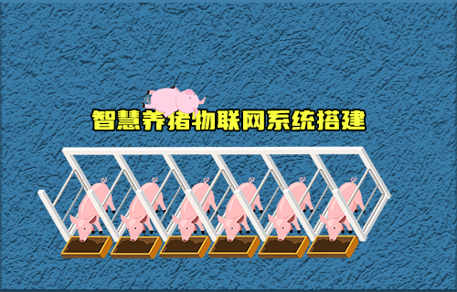 【科普視頻】智慧養(yǎng)豬物聯(lián)網(wǎng)系統(tǒng)如何搭建？有什么功能？