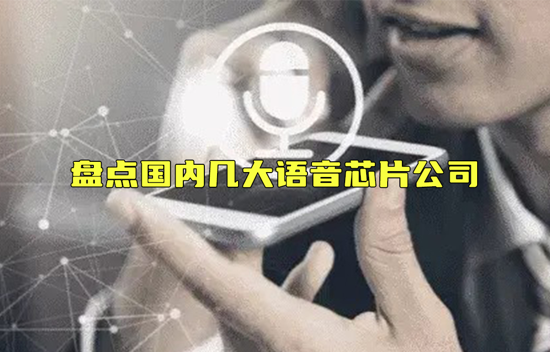 【科普視頻】盤點(diǎn)國(guó)內(nèi)幾大語(yǔ)音芯片公司