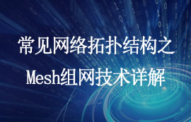 常見網(wǎng)絡(luò)拓撲結(jié)構(gòu)之Mesh組網(wǎng)技術(shù)詳解