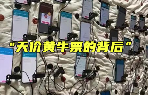 【科普視頻】天價(jià)黃牛票的背后