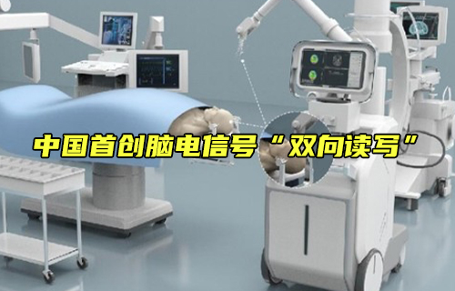 植入式腦機接口系統(tǒng) 植入式腦機接口系統(tǒng)