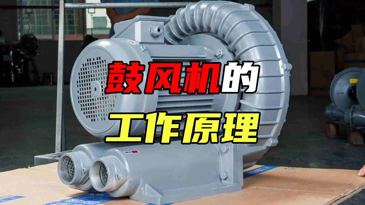 【科普視頻】鼓風機的工作原理