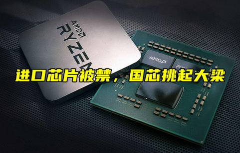 【科普視頻】進口芯片被禁，國芯挑起大梁？