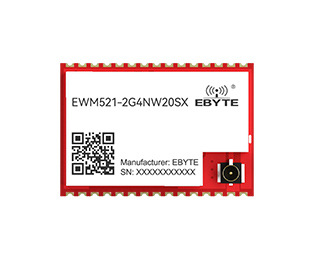 EWM521-2G4NW20SX