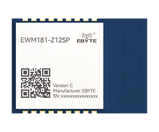 EWM181-Z12SP(C)