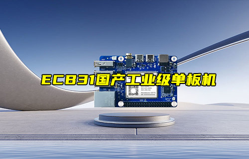 【新品推薦】ECB31系列國產(chǎn)工業(yè)級單板機(jī)產(chǎn)品簡介