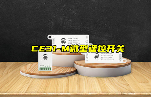 【新品推薦】CE31-M系列微型遙控開關(guān)產(chǎn)品簡介