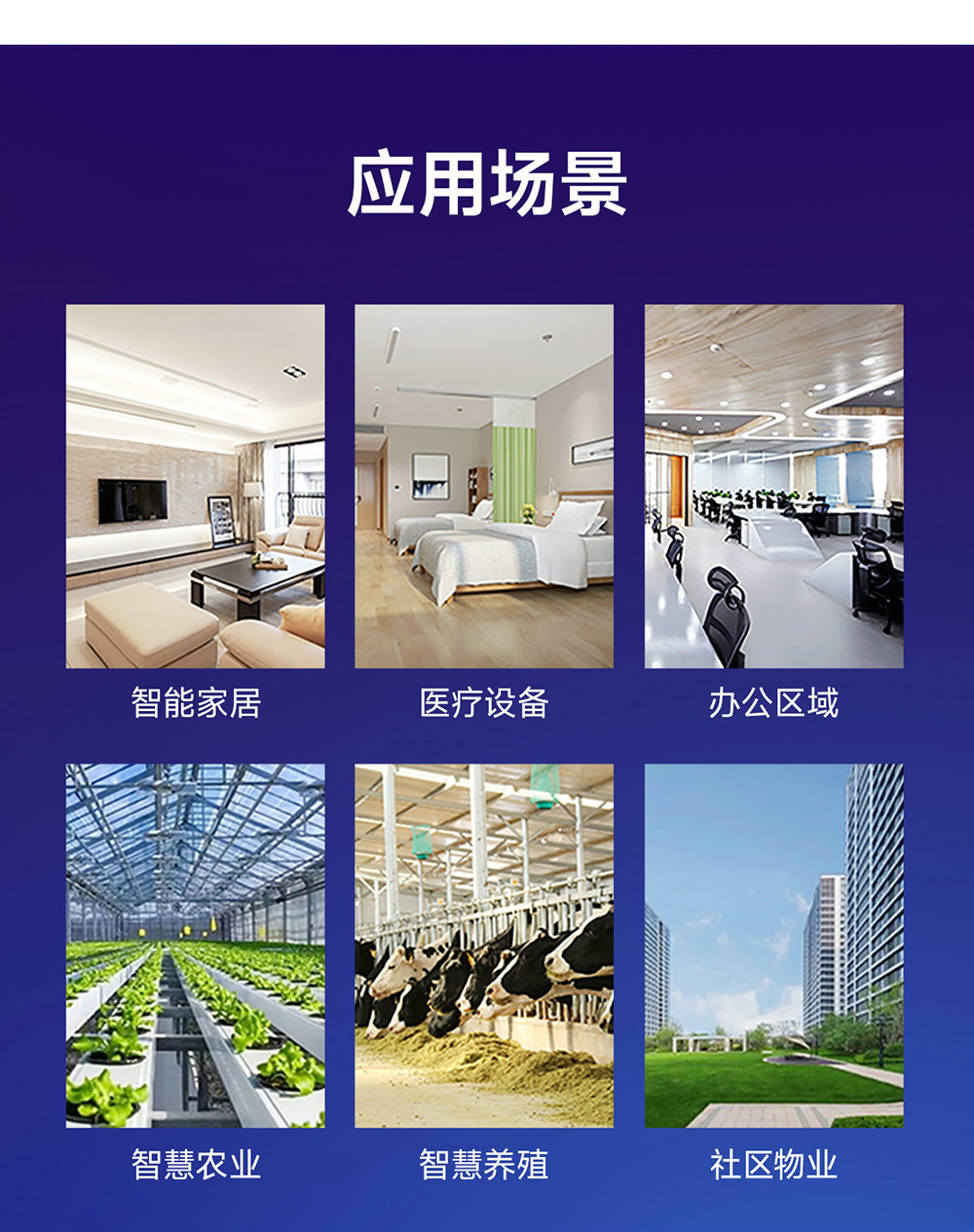 中文官網(wǎng)_13