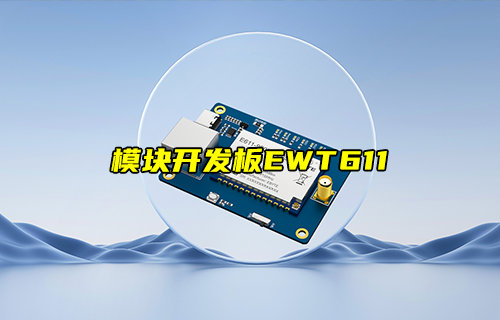 【新品推薦】遠(yuǎn)距離圖傳數(shù)傳模塊開(kāi)發(fā)板EWT611-900NW20S